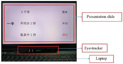 The effect of structured stepwise presentations on students’ fraction learning: an eye-tracking study